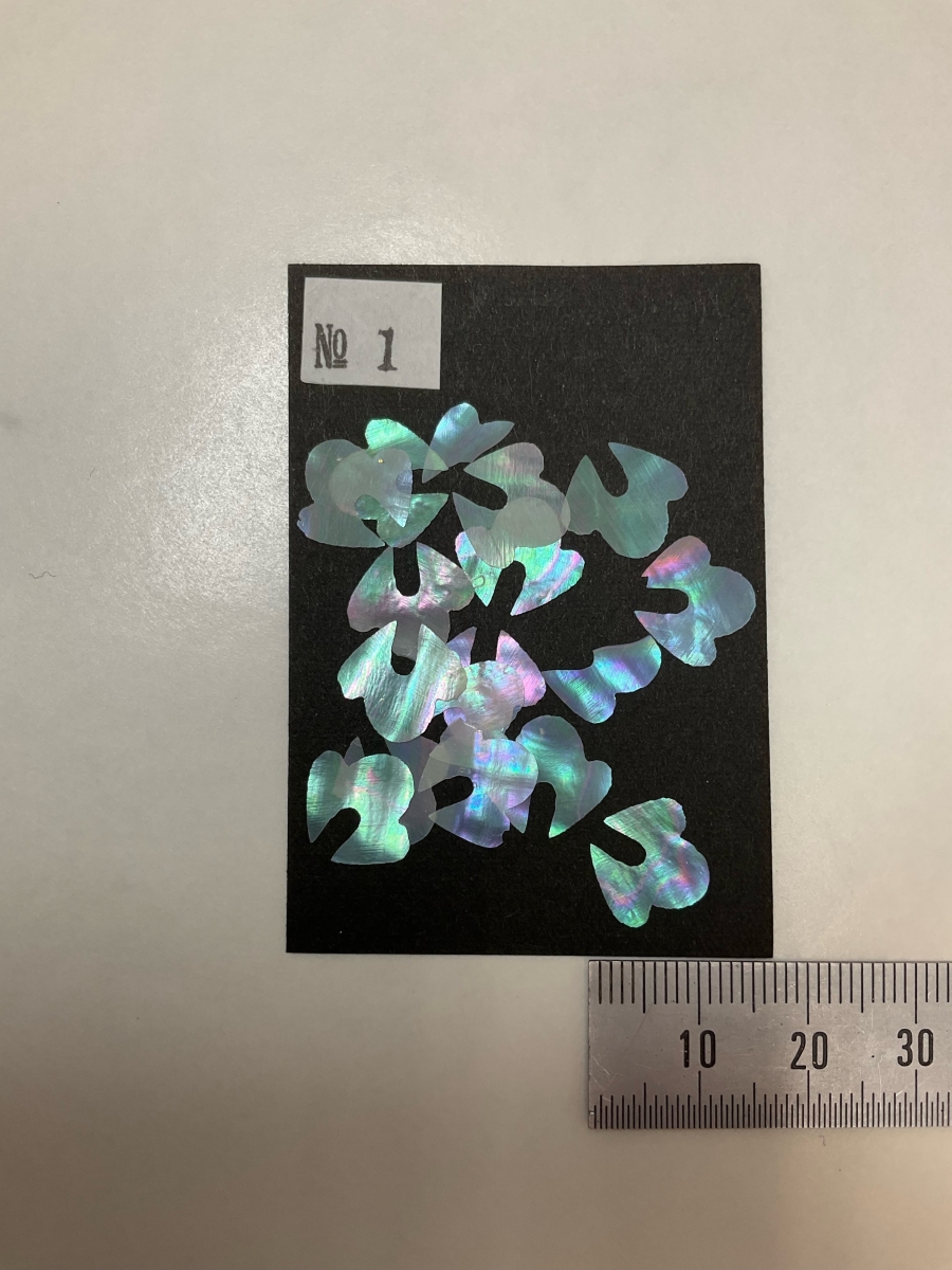 造形貝販売について | ブログ［一覧］ | 七福屋ブログ［一覧］ | 純